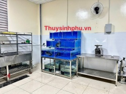 Hồ chứa hải sản