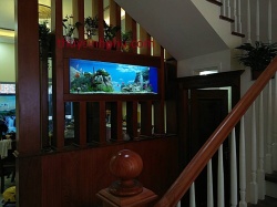 Hồ cá thủy sinh - 13