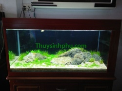 Hồ cá thủy sinh - 28