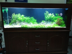 Hồ cá thủy sinh - 29