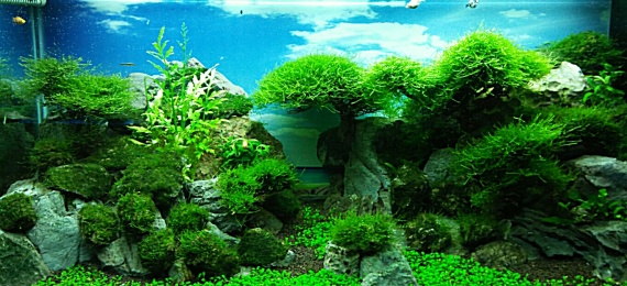 Sự lựa chọn của niềm đam mê