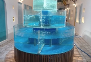 Hồ chứa hải sản 11